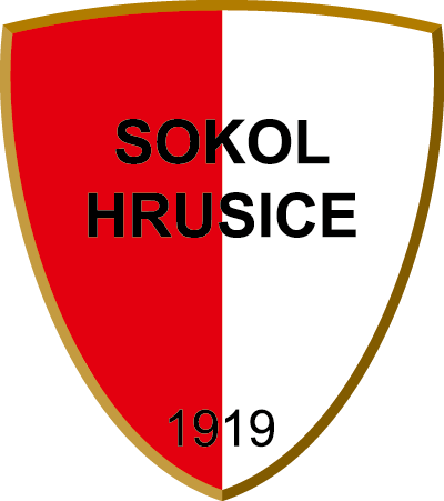 logo_Sokol.png